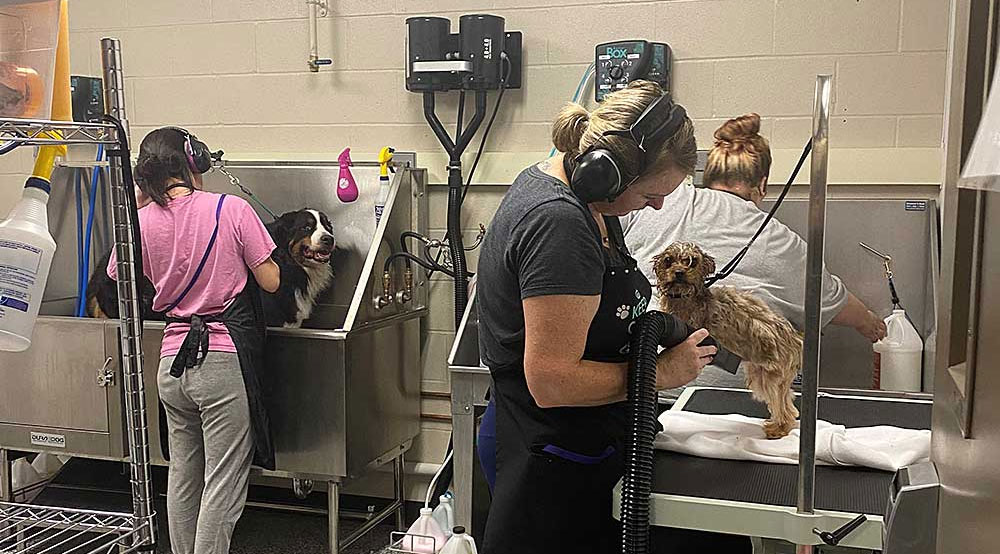 Dog Grooming Facility
