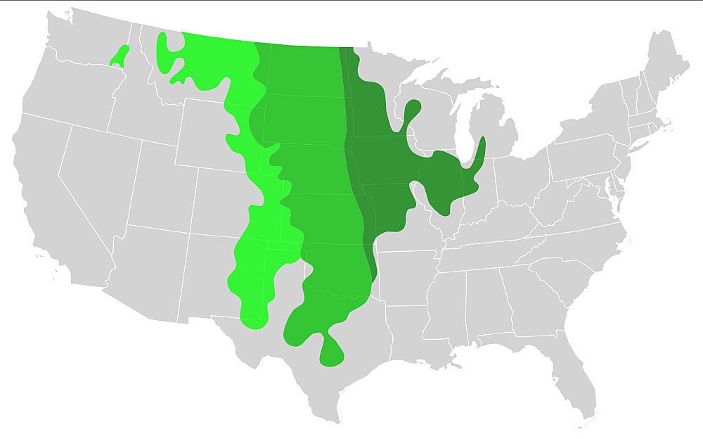 Prairie Map