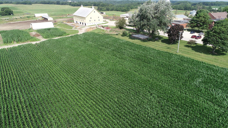 Corncam birdseye view