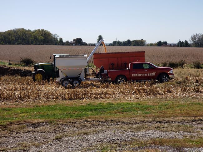 Corncam plot