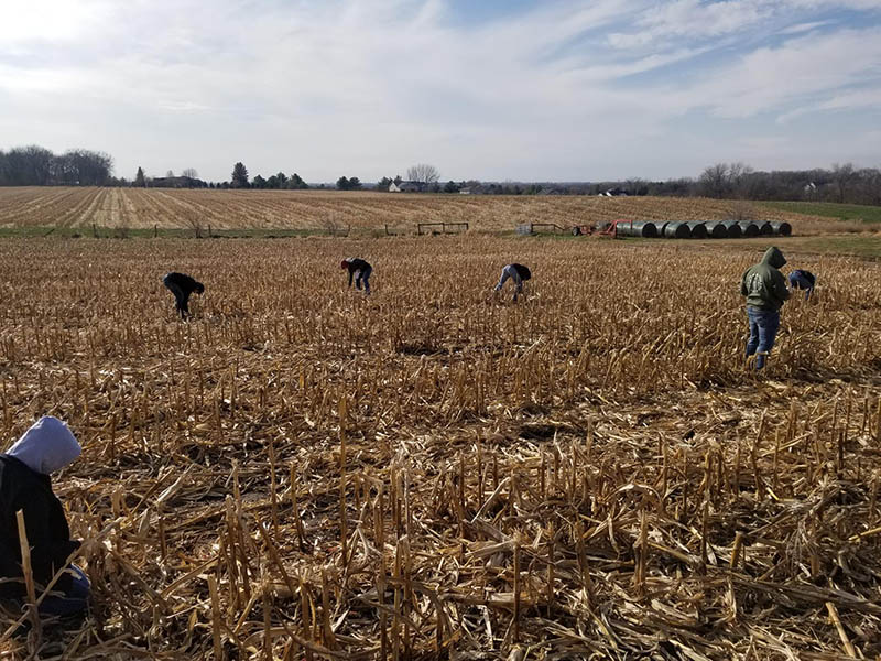 Corn cam hands-on learning